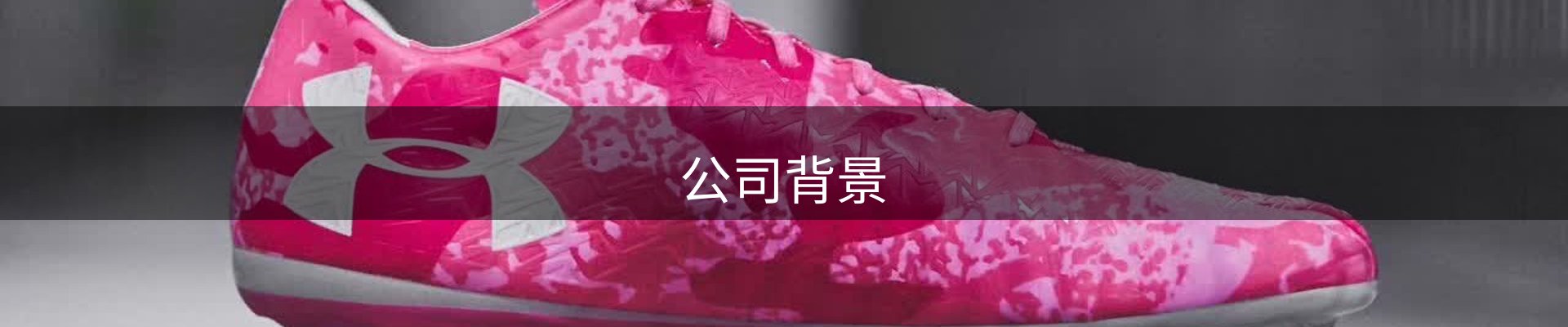 公司背景